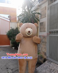 Mascot Teddy Bear - mascot gấu teddy